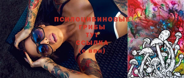 молекула духа Няндома