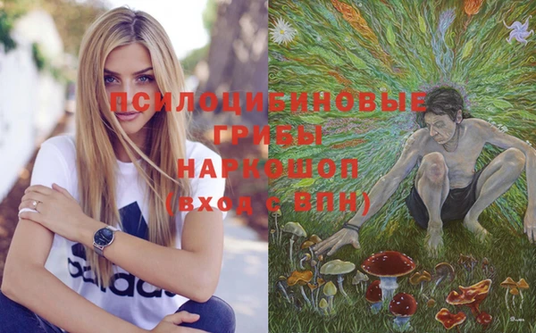 шишки Абинск