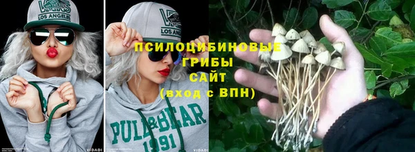 шишки Абинск