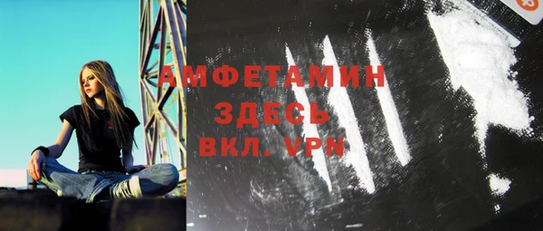 молекула духа Няндома