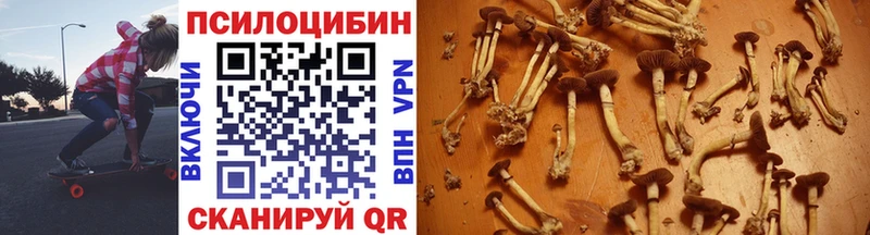 Галлюциногенные грибы мицелий  Шилка 