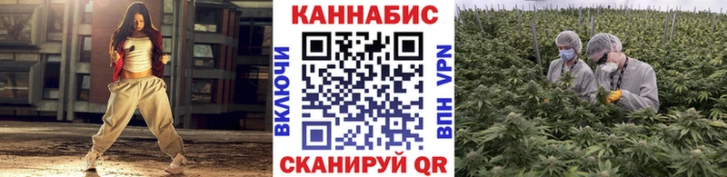 закладка  Шилка  Бошки Шишки THC 21% 